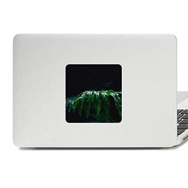 Imagem de Fotografia folhas de planta, imagem natural, decalque, vinil, paster, laptop, decoração de policarbonato