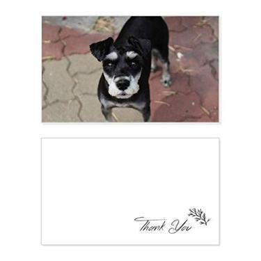 Imagem de Animal de estimação preto linda imagem cartão de agradecimento aniversário comemoração casamento agradecimento