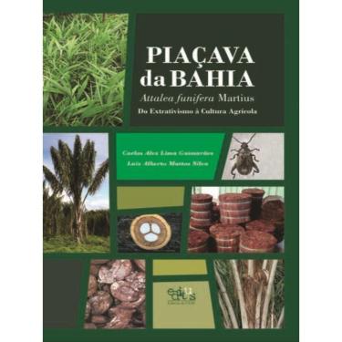 Imagem de Piaçava Da Bahia (Attalea Funifera Martius)