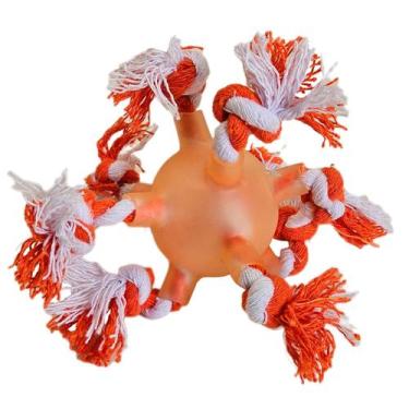 Imagem de Bola Pinos C/Corda Brinquedo para Cães Cores Variadas - NOSPET