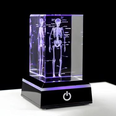 Imagem de Peso de papel leve, modelo de esqueleto com base de LED, modelo de anatomia de esqueleto humano 3D, estatueta de esqueleto de vidro de cristal com base de luz colorida, estatueta óssea de biologia