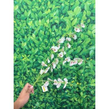 Imagem de Haste Galho Orquídea Chuva de Ouro Artificial P/ Arranjos e Decoração 