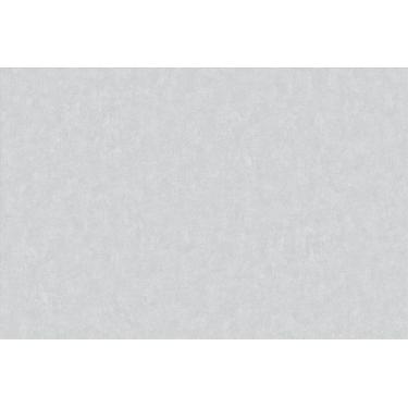 Imagem de Papel de Parede Brut Aspecto Cimenticio Cinza Claro BT2021201