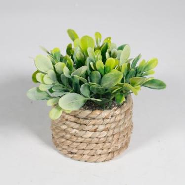 Imagem de Plantas artificiais em vasos com algas marinhas feitas à mão, decorações de casa de fazenda, planta de eucalipto para casa, banheiro, escritório, prateleira, mesa, mesa, quarto, decoração ou presente