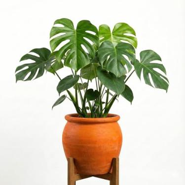 Imagem de Genérico, Vaso Cilíndrico Moderno, Uso Interno, Tamanho M, Verde, Polietileno, Canelado, Redondo, Chão, Vaso de Plantas, 11x12x10 cm