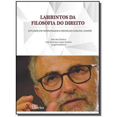 Imagem de Labirintos Da Filosofia Do Direito