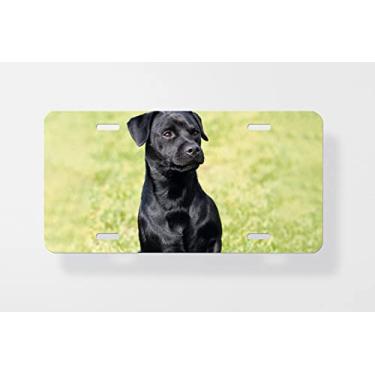 Imagem de Capa para placa de licença Portrait of Patterdale Terrier in A Garden - Capa para placa de carro - Capa para placa de carro 15 x 30 cm
