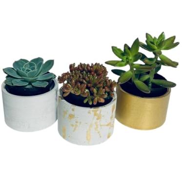 Imagem de Kit 3 vasos decorativos para casa em cimento para suculentas e plantas pequenas - 7cm diametro (Cinza e dourado)
