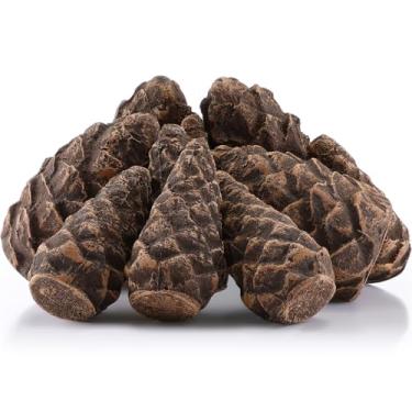 Imagem de Luinabio 10 peças de pinhas de cerâmica, imitação de pinhas, troncos de gás decorativos à prova de fogo, acessórios de fogueira falsos, decoração de Natal para fogueira a gás propano lareira fogos de