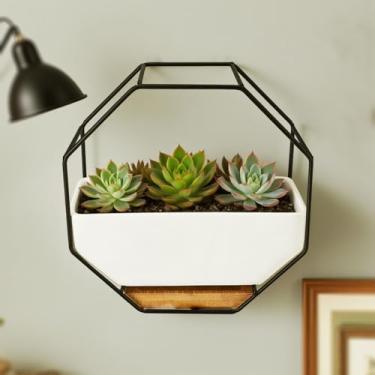 Imagem de Vaso de parede moderno com vaso de cerâmica, moldura octógono de metal, 17,3 x 8,4 cm, preto e branco