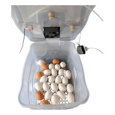 Imagem de Chocadeira Pet Para 30 Ovos De Galinha ou 90 De Codorna Com Termostato Resistência E Cooler