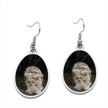 Imagem de Brinco Papuan Frogmouth – Brincos com pingente para meninas – Presente de festa de aniversário dos namorados