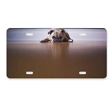 Imagem de DIYthinker Placa de licença decorativa de aço inoxidável para decoração de quarto de cachorro