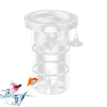 Imagem de Separador de peixe para bebês para aquário, caixa de criação para tanques de peixes - Caixa de viveiro de peixes flutuado - Divisor reutilizável ajustável do lado da malha para desova do berçário de p