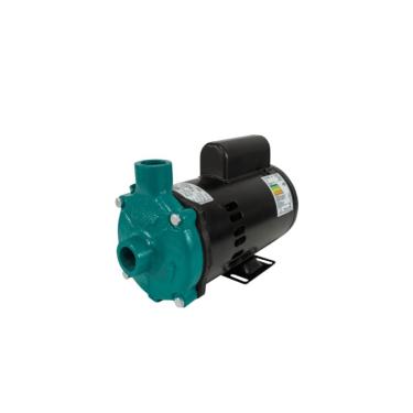 Imagem de Motobomba Standard 1cv 60Hz 110/220V ECS-100MP Eletroplas