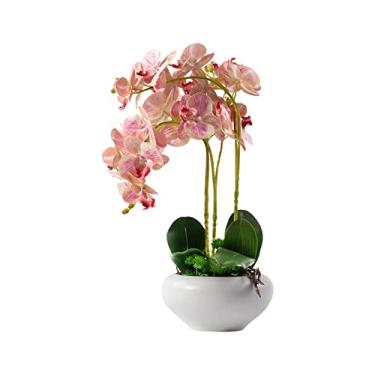 Imagem de LMJYU Flores artificiais orquídeas borboleta artificiais - panos de seda simulação Phalaenopsis flores em vaso, orquídeas falsas realistas bonsai com vaso de cerâmica