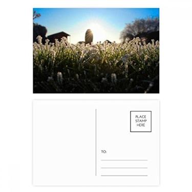 Imagem de Cartão postal Science Nature Scenery Sunshine Green Forestry conjunto de cartões postais de aniversário enviando cartão de agradecimento