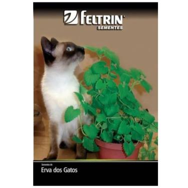 Imagem de FELTRIN, Sementes de Erva dos Gatos Catnip FELTRIN