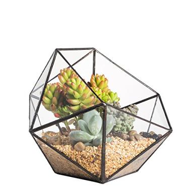 Imagem de NCYP Terrário de vidro geométrico em forma de tigela de 17 cm, meia bola, plantador pentágono, janela de varanda interna, planta suculenta, cactos, samambaia, vaso de flores, vaso de flores, vaso de mesa, peça central em miniatura (não há plantas incluídas)