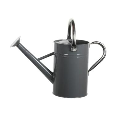 Imagem de WeiLaiKeQi Regador interno para plantas domésticas com bico removível, grande, decoração, multiuso, economia de trabalho, pulverizador fino à prova de ferrugem, Cinza