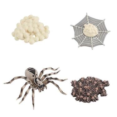 Imagem de Figura do inseto de 4 partes ninhada plástica do ciclo de vida animal 