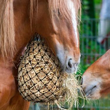 Imagem de Tcwhniev Redes de feno para alimentador de feno com furos de 5 cm x 5 cm, sacos de feno fáceis de usar, sacos de alimentação de feno portáteis com redução de resíduos, redes de feno de nylon estáveis