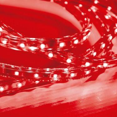 Imagem de Kit 10 Metros Fita Led Taschibra 5w/m Ip67 220v Alta Proteção Vermelha