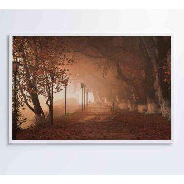 Imagem de Quadro Bosque 60x40 Cm Adesivo Fotográfico