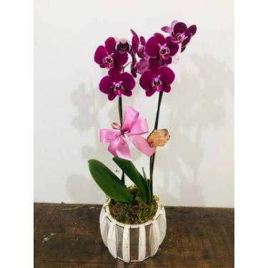 Imagem de Orquídea phalaenopsis 2 astes - Flor 