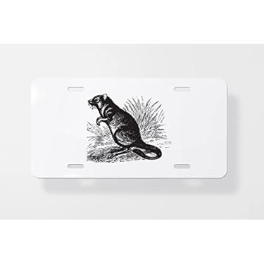 Imagem de Capa para placa de licença vintage com gravação de Potoroo ou Potorous Tridactylus - Capa para placa de carro - Capa para placa de carro 15 x 30 cm