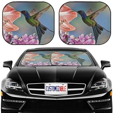 Imagem de MSD Protetor solar para para-brisa de carro com ajuste universal 2 pacotes, bloqueia o brilho solar, UV e calor, protege o interior do carro, ID da imagem: 30820427 Um belo beija-flor de cauda andorinha Eupetomena macroura de