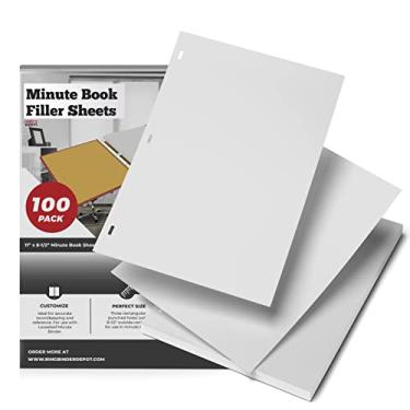 Imagem de 11 X 8.5 Inch Letter Size Minute Book Paper, 3 Hole Punched White Loose Leaf Minute Book Ledger Sheets, 100 Ledger Sheets for Record Keeping by Ring Binder Depot