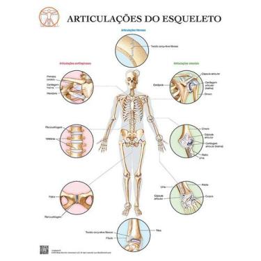 Imagem de Pôster Anatomia das Articulações do Esqueleto - Body Scientific