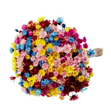 Imagem de Planta Seca Sempre Viva Mix Colorido 30cm - Pense Flores