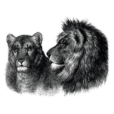 Imagem de Placa Decorativa Quadro Casal De Leões Direta Mdf 30x42cm - ARTSIM