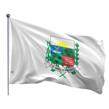 Imagem de Bandeira do Município de Araxá Uma Face Estampada Tamanho 90x128cm - P