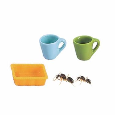 Imagem de KnocKconK Microtigela de água Spider, pacote com 3 minitigela líquida para formigas, alimentador de água para formigas, pequena garrafa de água para insetos, tigela de comida, mini prato de tarântula