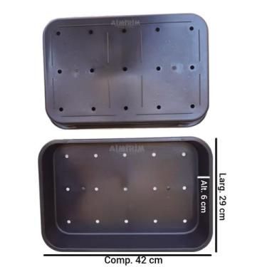 Imagem de 10 Bandejas para organização plantio germinação com furos sementeira p