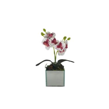 Imagem de Vaso de Vidro Espelhado com Mini Orquidea - Decor, Orquídea Vinho Pint