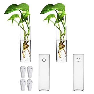 Imagem de BlogBlog Terrário de parede de vidro suspenso, suportes de plantas de ar, vasos de vidro redondos para plantas hidropônicas, suculentas, ervas, flores (cilindro 4 peças)