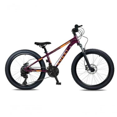 Imagem de Bicicleta Colli Napoli Sport Aro 24 Roxo