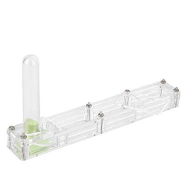 Imagem de Alomejor Caixa de Criação, Caixa de Criação de Fazenda Em Acrílico Com Torre de água, Casa de Ninho Expositora, Inclui Conta-gotas, Braçadeira e Garrafa de Vidro, Transparente (ninho transparente)