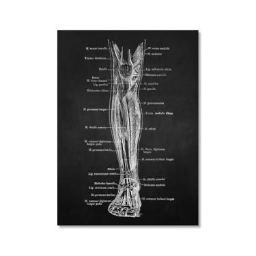 Imagem de Fundo preto anatomia humana arte médica impressões em tela imagens esqueleto músculo pôster vintage educação pintura arte decoração de parede (SKU5,50.8x71.1 cm = (50x70 cm), sem moldura)