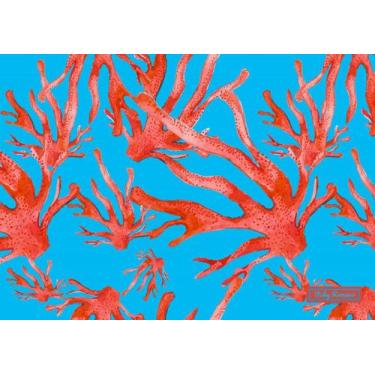 Imagem de Jogo Americano Capri ul Piscina - Ateliêr Vicky Romano