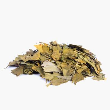 Imagem de Chá de Ginkgo Biloba - Ginkgo biloba 200g - LONDRIERVAS