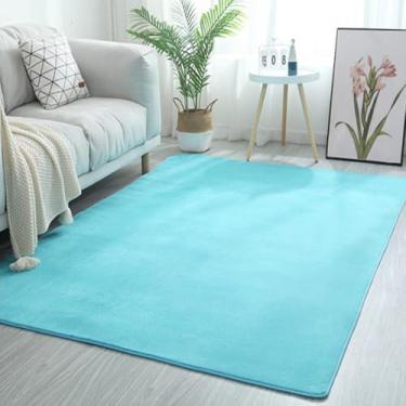 Imagem de Tapete da sala de estar de lã coral, sofá, mesa de centro, quarto, antiderrapante, à prova de som, tapete para casa, varanda cinza, azul-celeste, 80 x 160 cm (31,5 x 63 pol.)