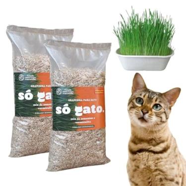 Imagem de Kit 02 Graminhas Mix Para Gatos - Embalagem Econômica - Petisco 100% Natural - SóGato