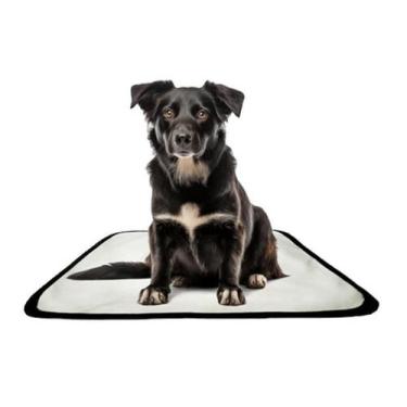 Imagem de Tapete pet reutilizável adestrador dog oferta 2 un P 50x60cm - SHELBY 
