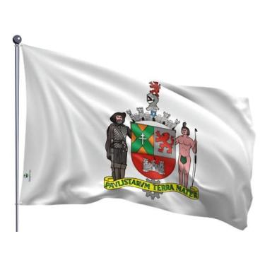 Imagem de Bandeira do Município de São Bernardo Do Campo Uma Face Estampada Tama