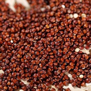 Imagem de Quinoa vermelha grão 250g - LONDRINUTRI PRODUTOS NATURAIS